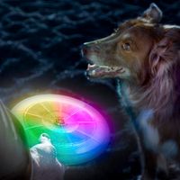 Flashflight® Dog Discuit LED Flying Disc - Disc-O