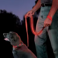 Nite Dawg® LED Pet Leash